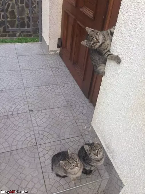 I Am A Climber