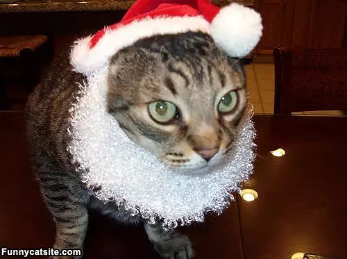Get This Off Me