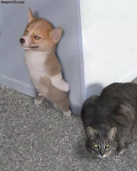 Hide And Seek