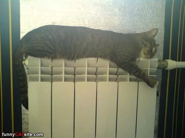 I Love This Warm Thing