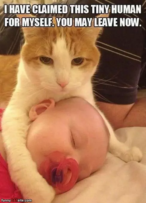 Claimed This Human