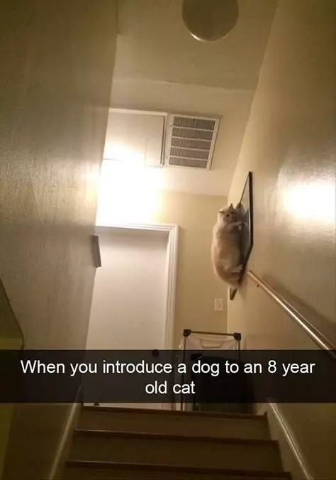 What The Heck Is That