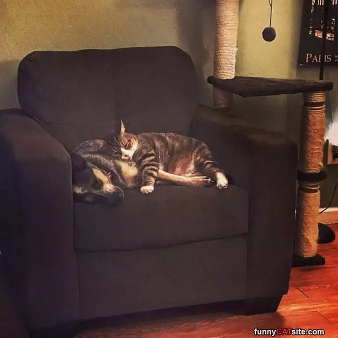 Chilling Together