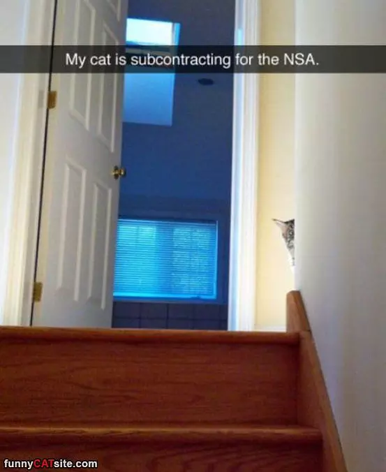 Subcontracting
