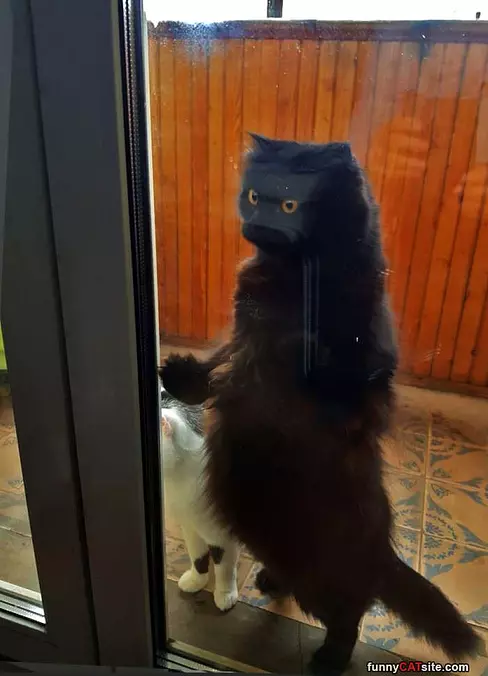 Just Standing Up Here