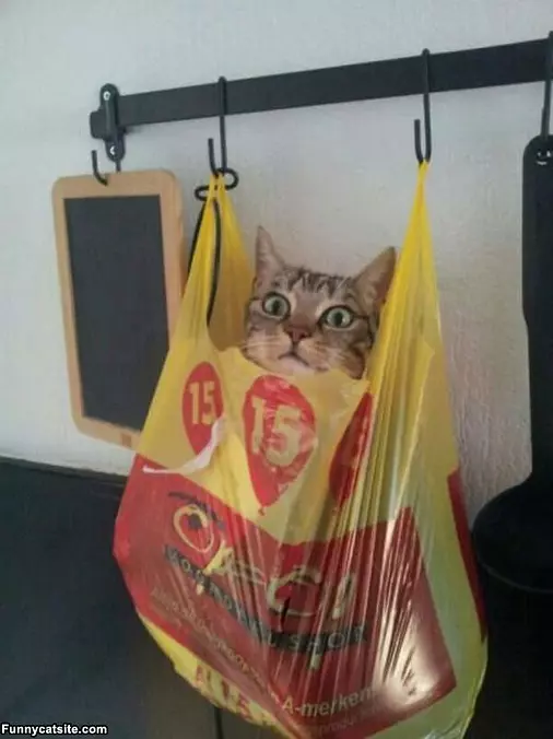 Hanging In My Bag