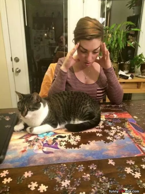 This Puzzle Is Boring