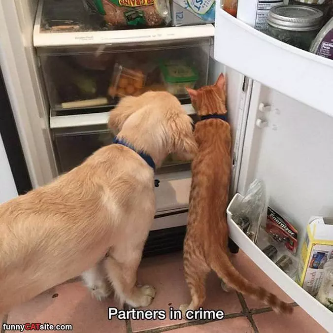 We Are Partners