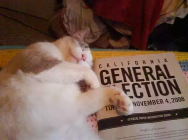 General Elections Are Boring