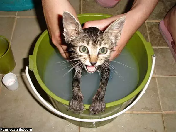 No Baths Pleeeeeease