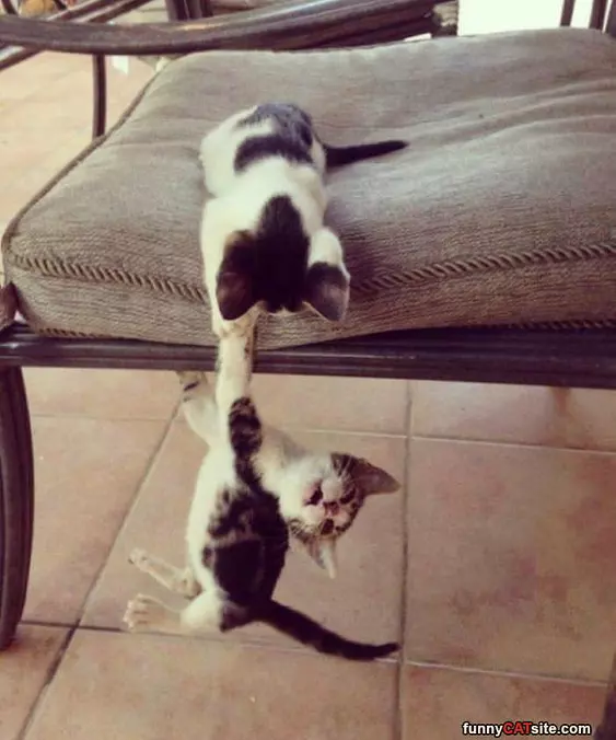 Dont Let Go