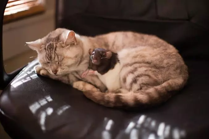 Keeping My Buddy Warm