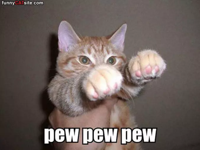 Pew Pew Pew