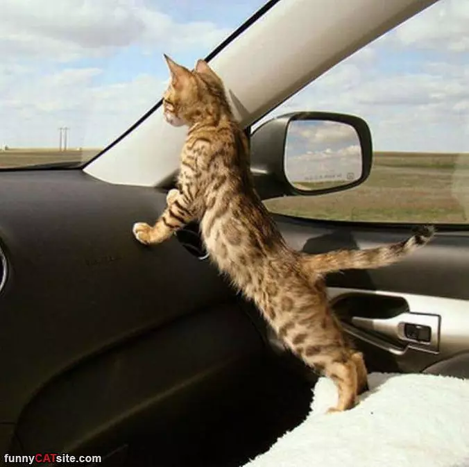 Watching Out