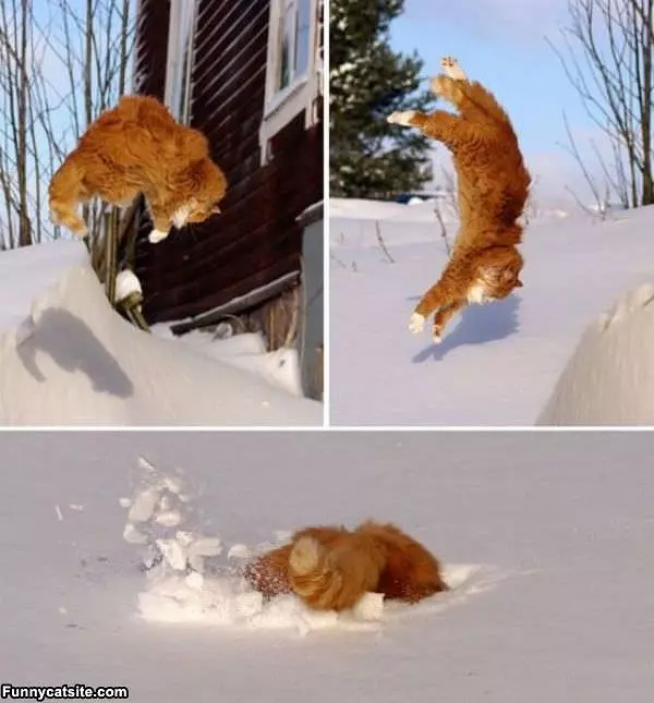 Making Snow Angels
