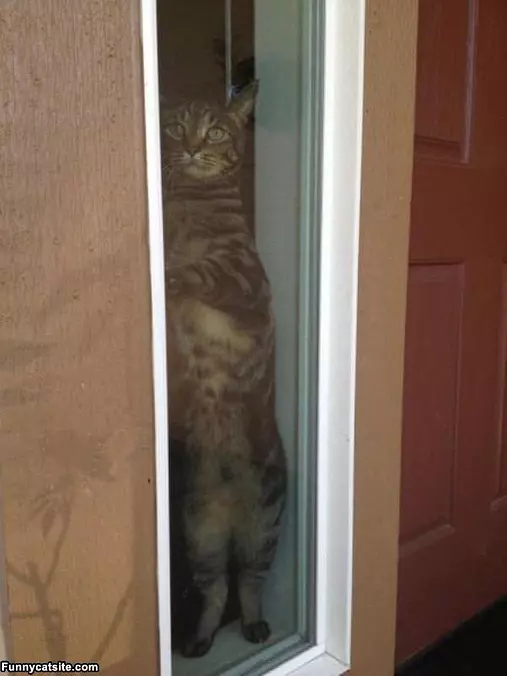 Just Relaxing Here