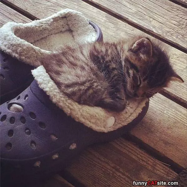 Found A Warm Shoe