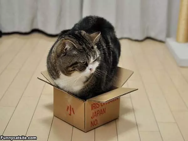 Dont Quite Fit