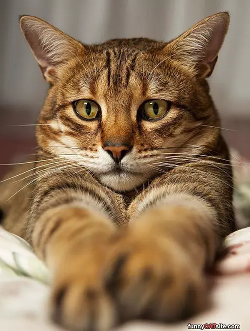 Nice Close Up