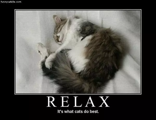 Relax
