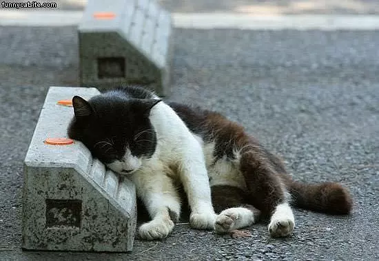I Is Tired