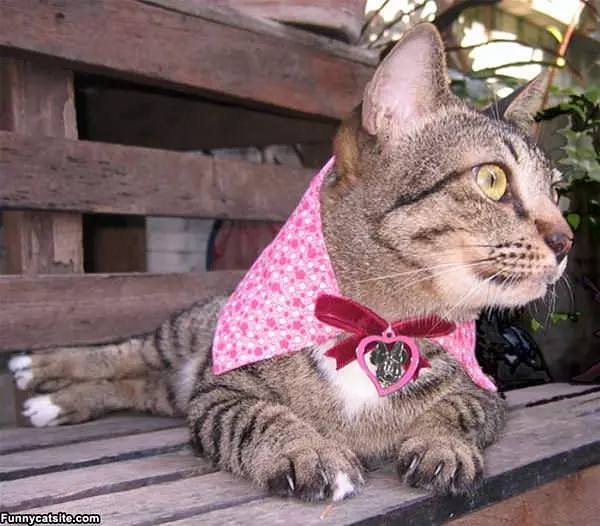 Minnie Mouse Fan
