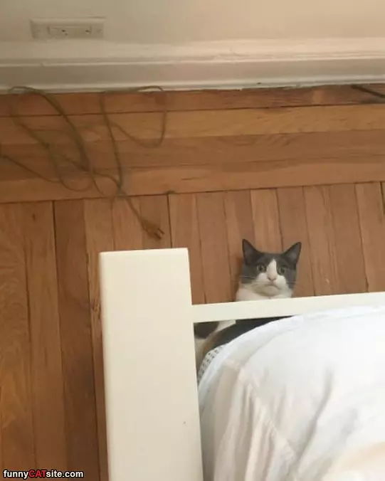 I Am Just Waking Up