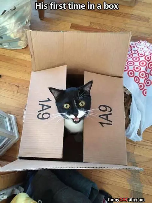 Love This Box