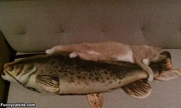Fishes