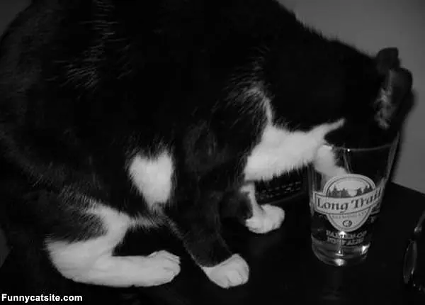 Sooo Thirsty