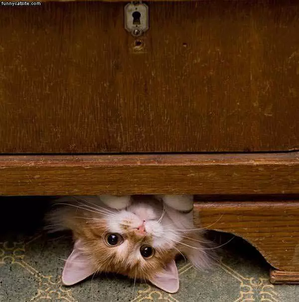 Hiding Under Here