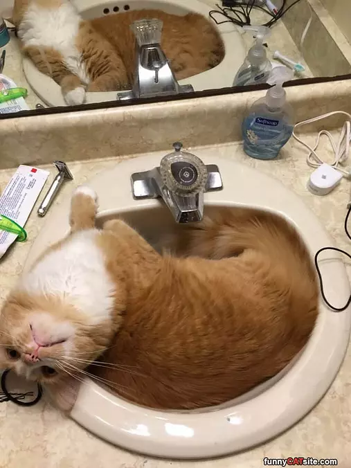 Look At Those Eyes
