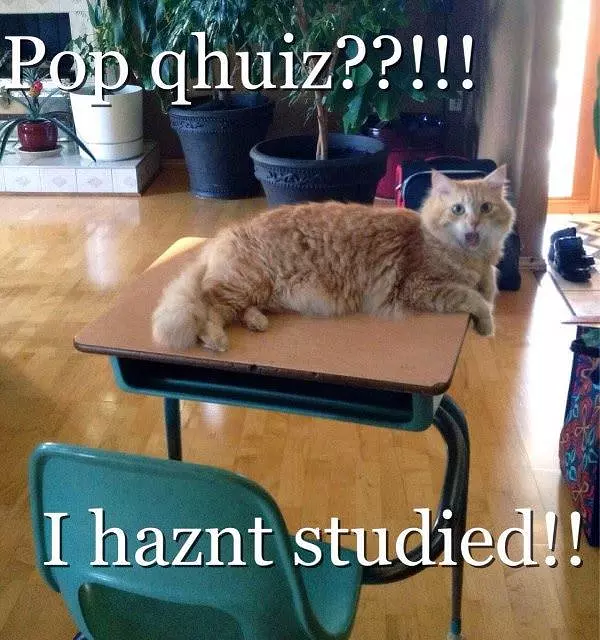 Pop Quiz