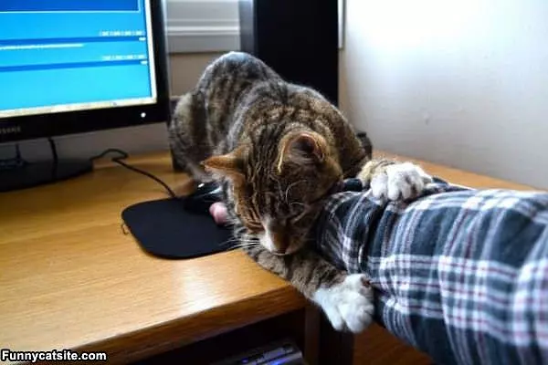 No More Computer