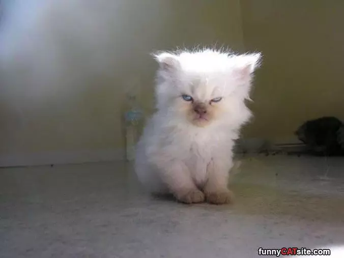 Not Happy To See You
