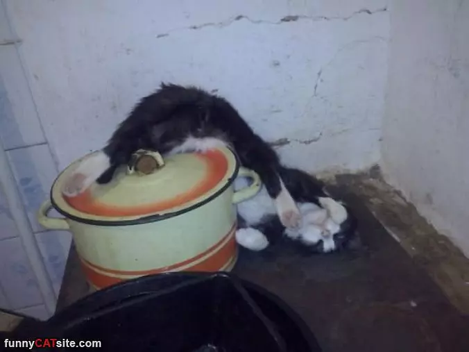 Soooooo Tired
