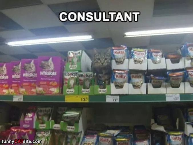 Consultant