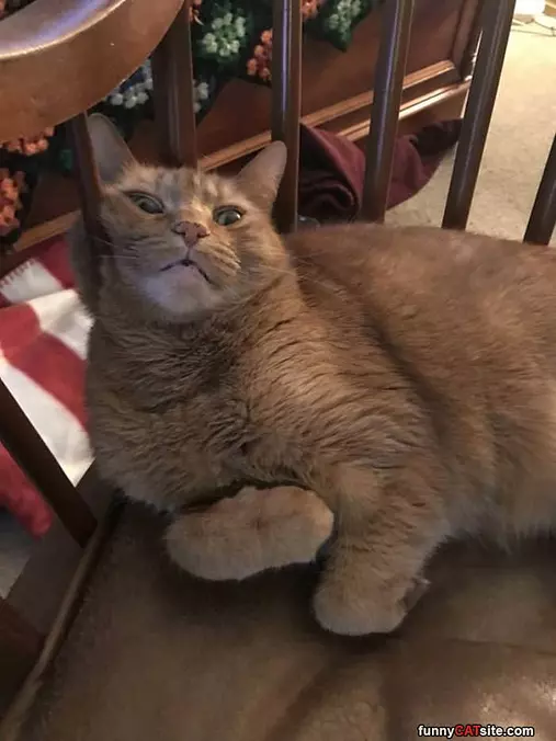 Do I Look Cute Here