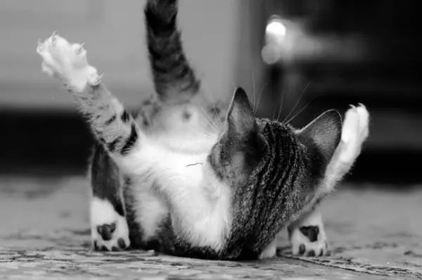 Attack
