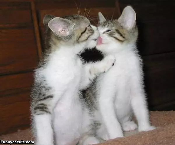 Let Me Get That For You