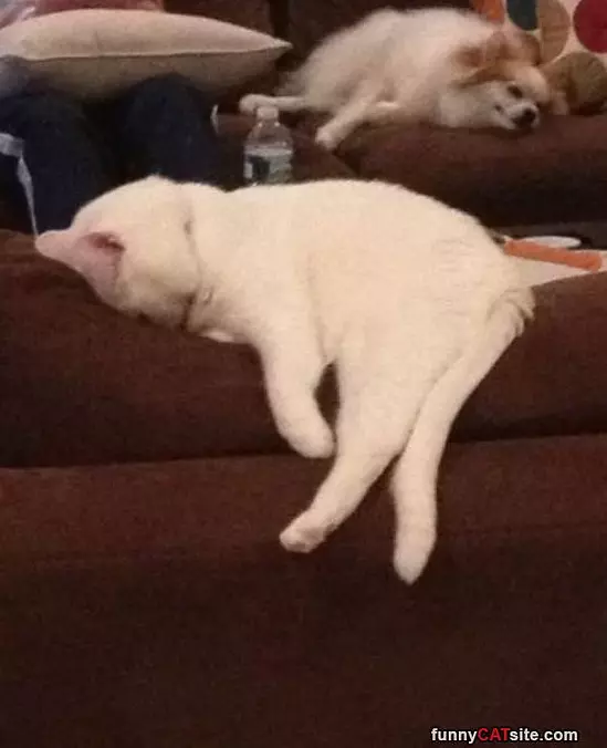 Had A Long Day