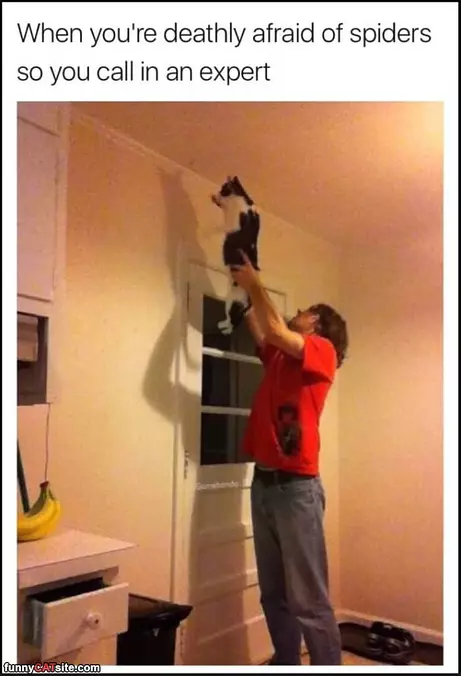 Calling In An Expert