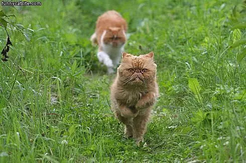 Running So Fast