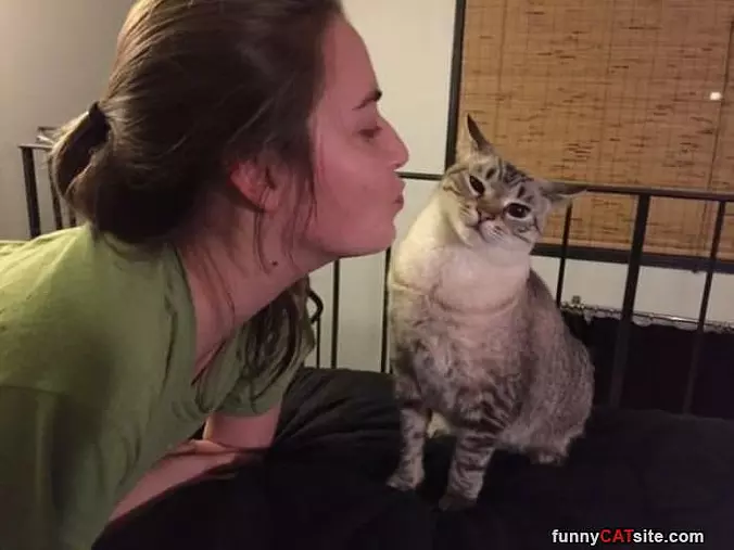 No Kisses Today