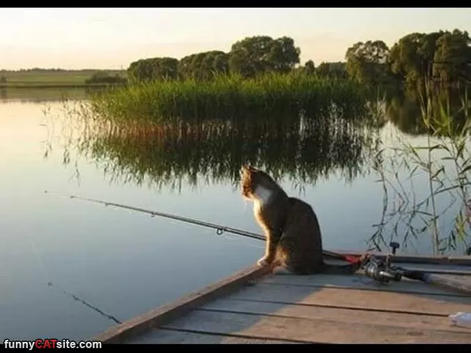 Doing Some Fishing