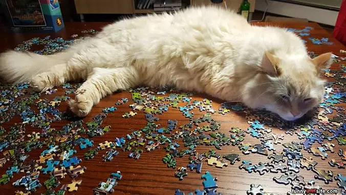 This Puzzle Is Boring