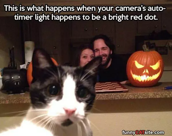 Camera Auto Timer