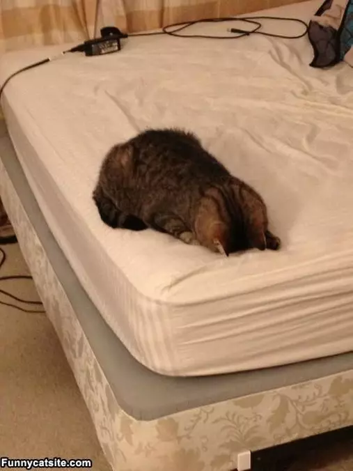 Dont Want To Wake Up
