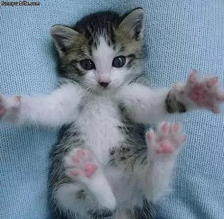 This Big