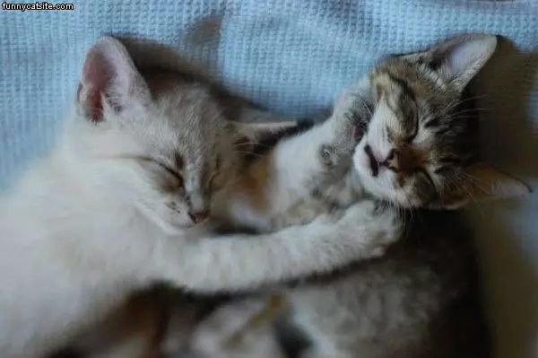We Sleep Awesome